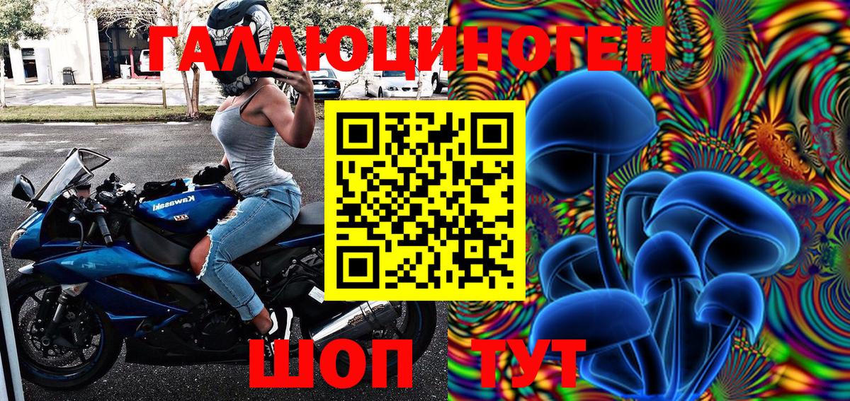 Галлюциногенные грибы Psilocybe  Вход с VPN  Выборг 